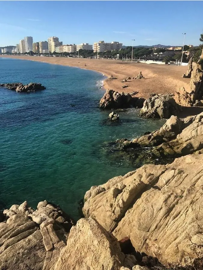 פלטחה ד'ארו Lloguer30 Los Delfines, Swimming Pools , Near The Beach And With Parking 0*, פלטחה ד'ארו ספרד