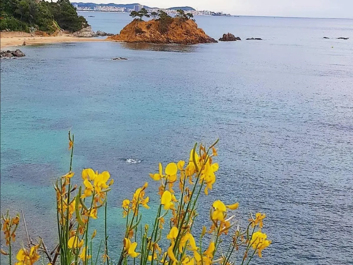 Lloguer30 Los Delfines, Swimming Pools , Near The Beach And With Parking プラヤ・デアロ